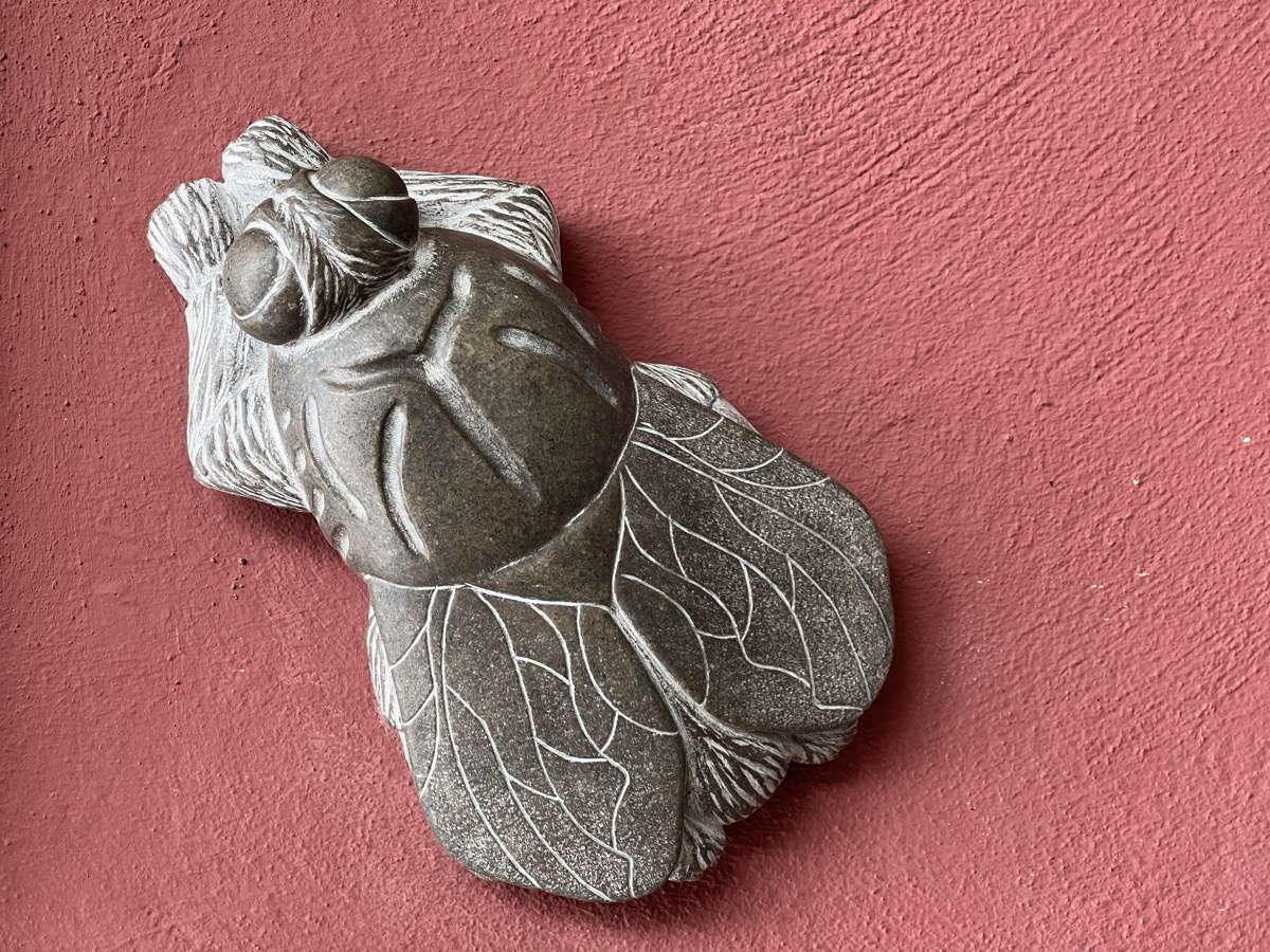 Stone fly sculpture embedded in a medieval wall